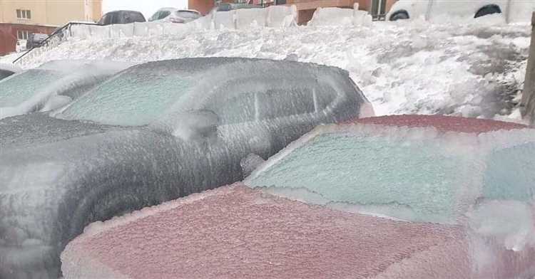 3. Влияние на сельское хозяйство и животноводство