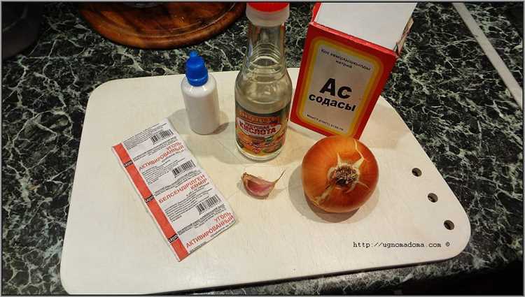 Эффективные и популярные способы избавления от неприятного запаха в холодильнике - 7 советов для свежести продуктов и комфорта в помещении Как избавиться от запаха в холодильнике: популярные способы избавления от зловония