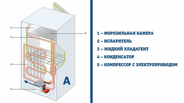 Шаг 2: Очистите и разморозьте холодильник