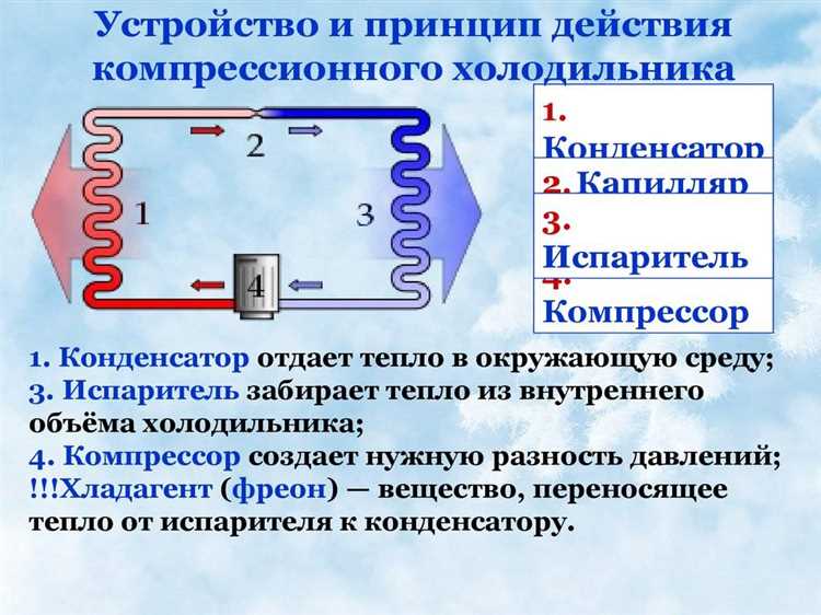 Типы холодильников