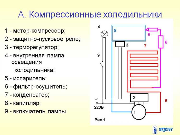 Устройство холодильника: принцип и работа