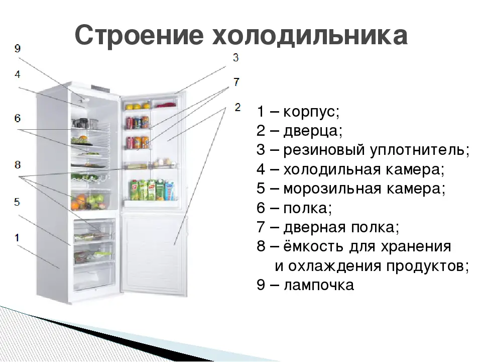 Принцип работы холодильника