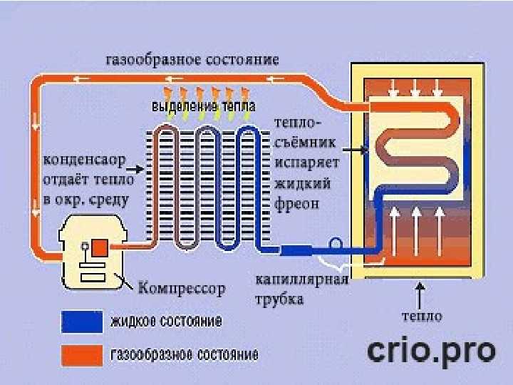 Как работает холодильник: устройство и принцип работы основных типов холодильников