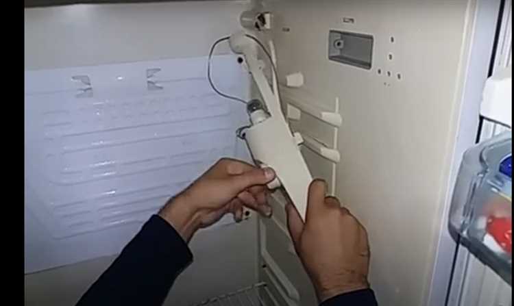 2. Очистите холодильник от продуктов