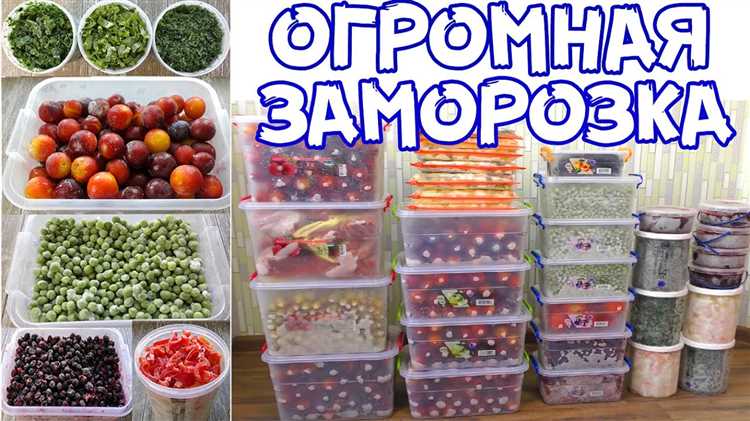 Как сохранить свежесть овощей и фруктов - секреты правильной заморозки Как заморозить овощи и фрукты правильно