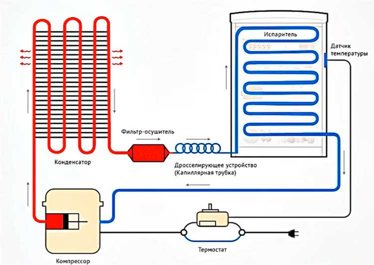 Какую функцию выполняет фреон?