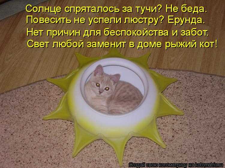 Уверенность в будущем