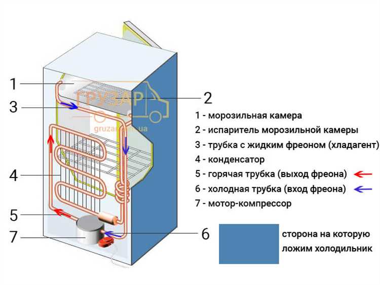 Стандарты перевозки холодильников