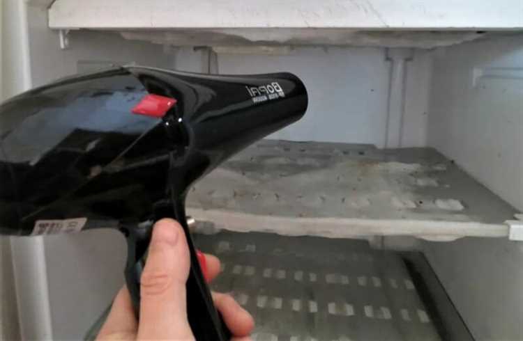 Размножение бактерий