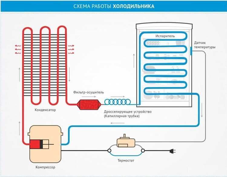 Устройство компрессора в холодильнике