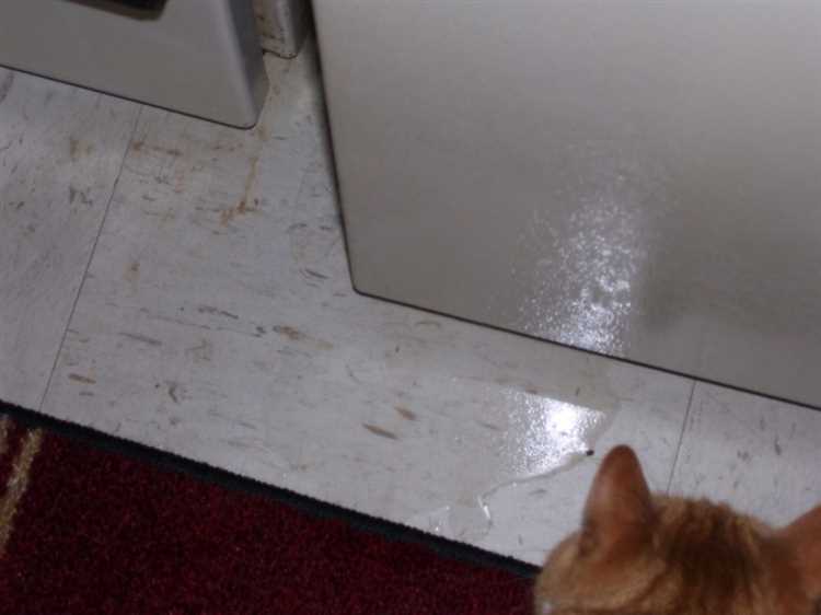 1. Визуальный осмотр