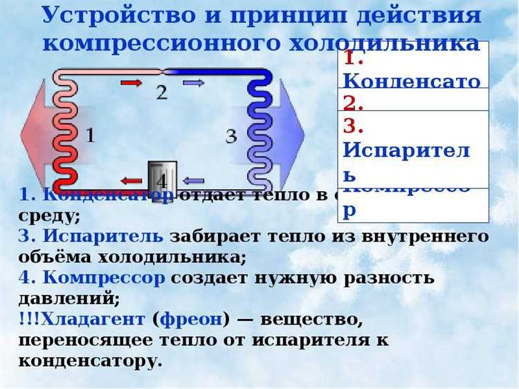 Как работает холодильник - принцип функционирования и основные этапы работы Принцип работы холодильника