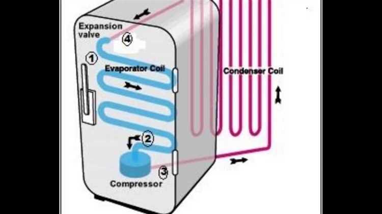 Основные компоненты холодильника