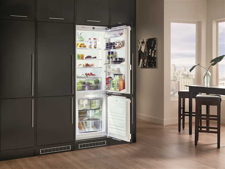 Встраиваемые холодильники - как выбрать и правильно установить, а также топ-15 лучших моделей Встраиваемые холодильники: как выбрать и правильно установить + топ-15 лучших моделей